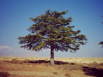 Hadath Al Jebbé