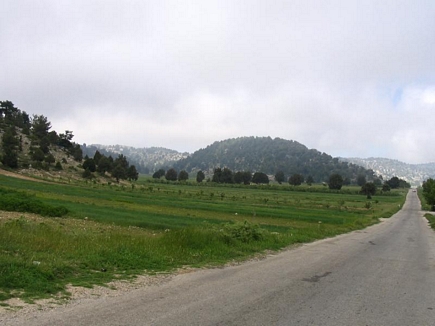 Kamoua National Park, The Biggest Forest In The Middle East - Kamoua Plains