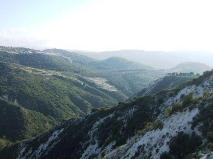 Koura Caza in North Lebanon