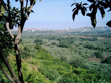 Koura Caza in North Lebanon