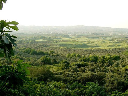 Koura Caza in North Lebanon