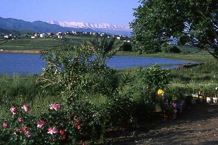 Lake and garden in Akkar