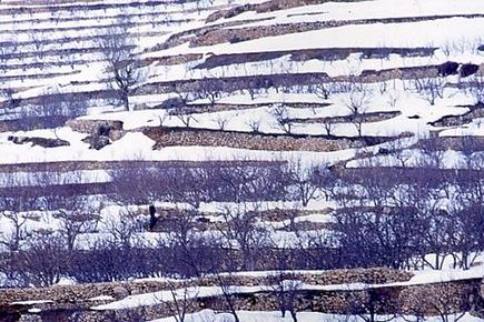 Winter in Ehden