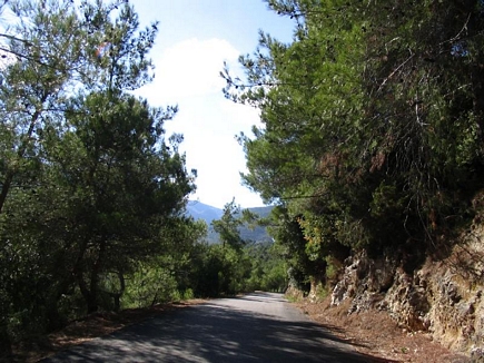 Road , Oudin Valley , Akkar