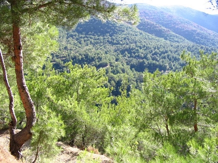 Oudin Valley , Akkar