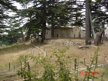 Cedars - Il Arz