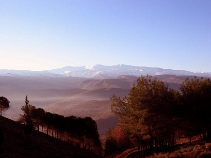 Scenic View from The Forest of Gebrayel