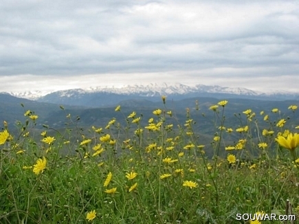 Scenic pic, Akkarian mountains, end of Winter