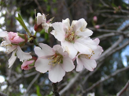 Spring 2005