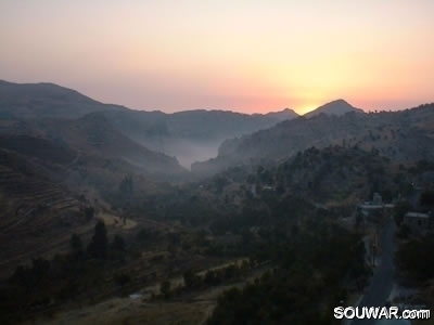 Tannourine