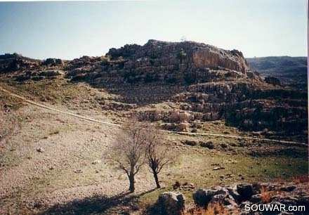 Tannourine