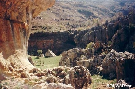 Tannourine