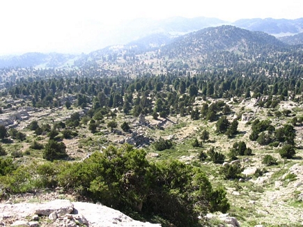 Kamoua National Park, The Biggest Forest In The Middle East - From Above