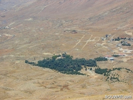 The Cedar Forest From Above