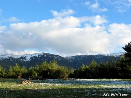 The Early Snows , Monte Verde