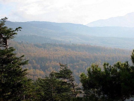 Automn in Lebanon