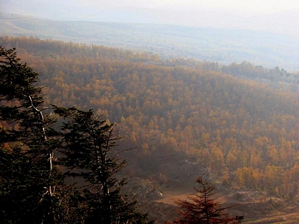 Automn in Lebanon