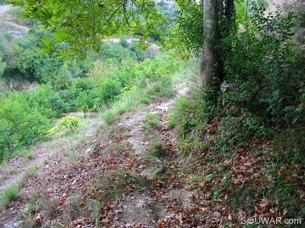 The Leaves Of Automn In My Village , Aadbel Akkar