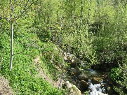 The River Crossing Mechmech Valley