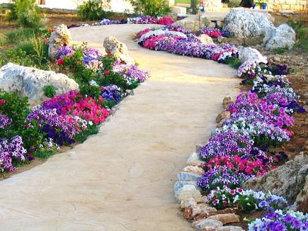 The Road Of Flowers, Batroun Country Club