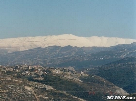 Cedars mountains