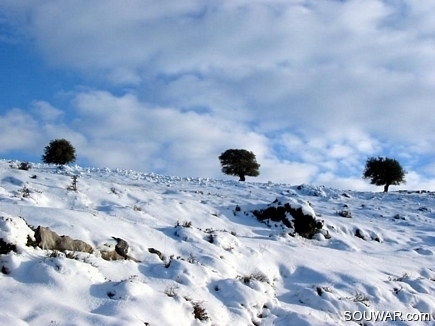 Trio in full snow