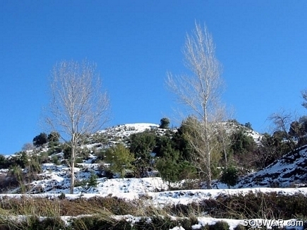 Winter Scene , Al Krayyat , Akkar