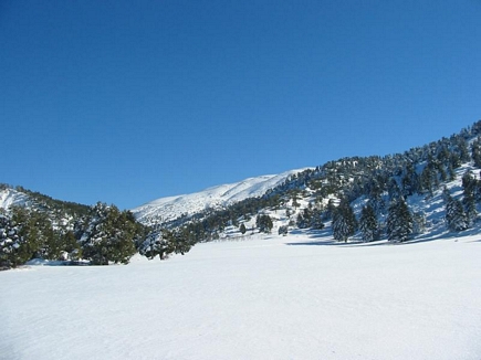 Winter scene Kamoua Plains