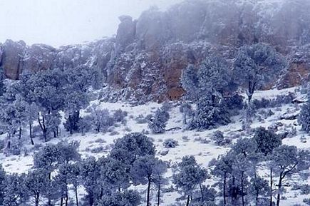 Winter in Ehden