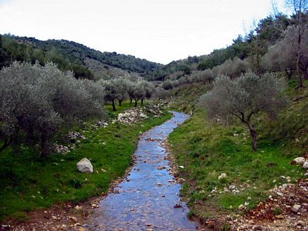 Waterspring, Bayno, Akkar