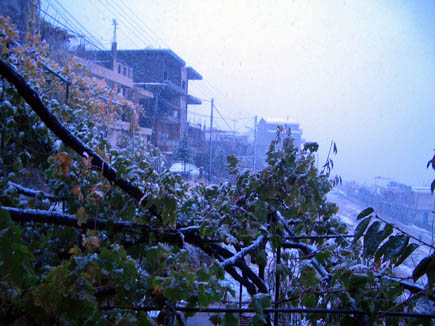 Bcharreh Snow Storm