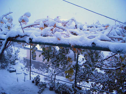Bcharreh Snow Storm