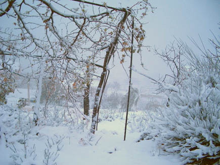 Bcharreh Snow Storm