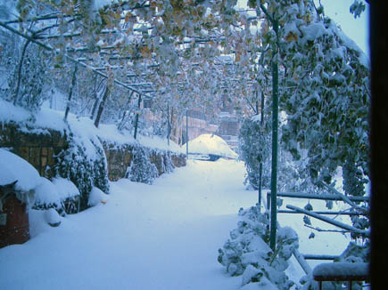 Bcharreh Snow Storm