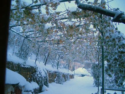 Bcharreh Snow Storm