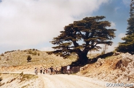 Cycling in barouq