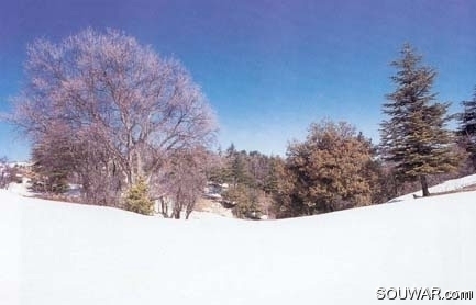 Ehden