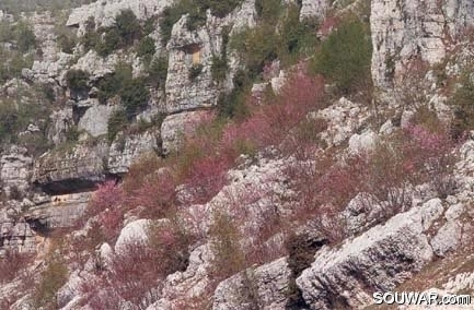 Ehden