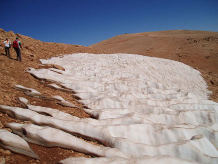 Ehden