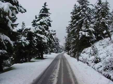 Ehden