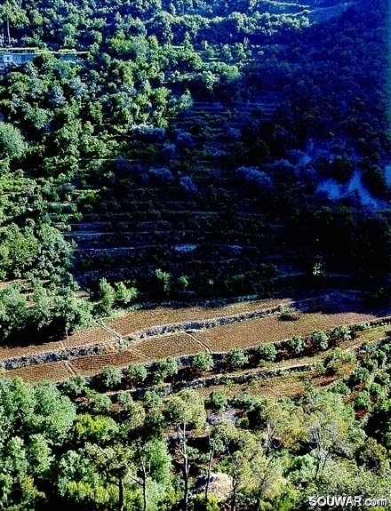 Ehden