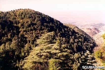 Ehden