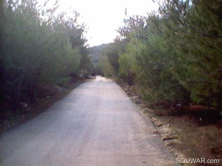 Andaket