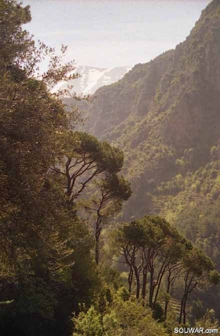 Qadisha Valley