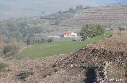 Menjez