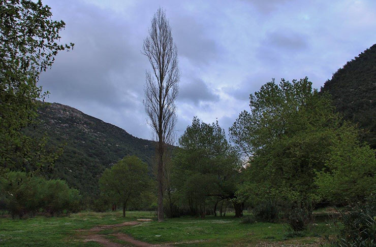 Ouyoun El Samak
