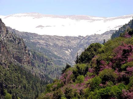 Qadisha Valley