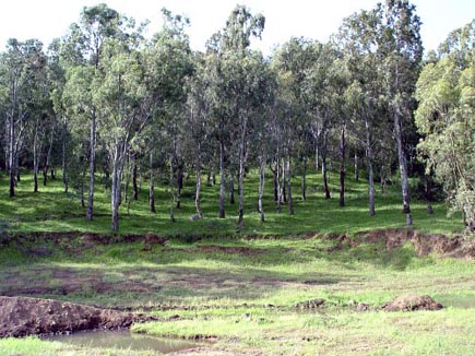 Qadisha Valley