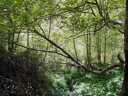 Qadisha Valley