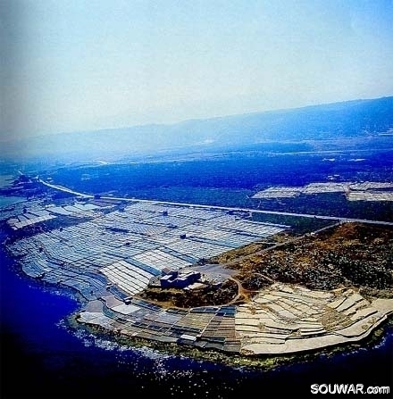Salt Of Ehden